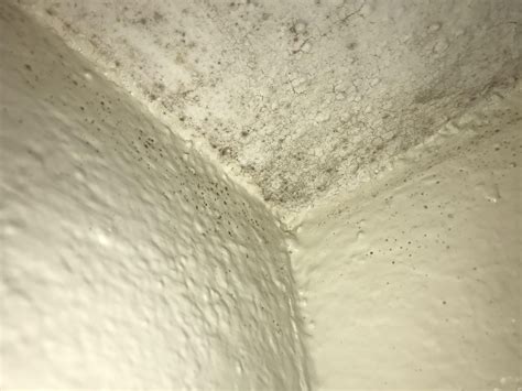 Is This Mold Or Mildew Or Something Of The Sort Found Above Shower And I Have Absolutely No