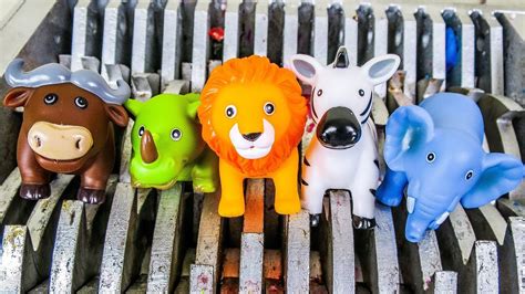 Baby dam helps you to save water, energy, money and time. Baby Animals Shredded! Animal Bath Toys Destroyed! What's ...
