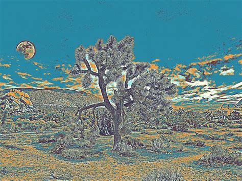 Sunset Over Sonoran Desert By Adam Asar 3 Painting By Adam