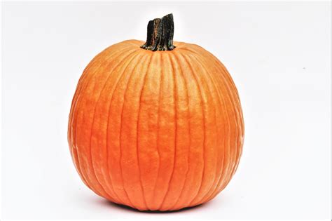 Pumpkin Isolated On White Free Stock Photo Public Domain Pictures