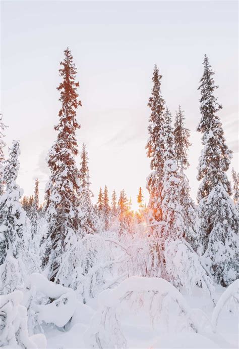 12 Best Things To Do In Lapland Finland Hand Luggage Only Travel