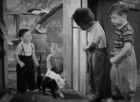 Fishy Tales 1937 Cinema Cats