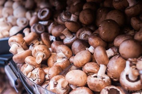 Can Mushroom Be Frozen How To Freeze And Thaw Correctly Fitibility