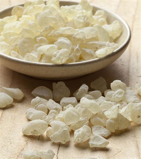 3 Health Benefits Of Mastic Gum What Is It And How Much To Take