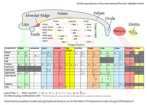 Each letter has a lower and upper case form. IPA (International Phonetic Alphabet) to mouth animation · Issue #58 · open-source-ideas/open ...