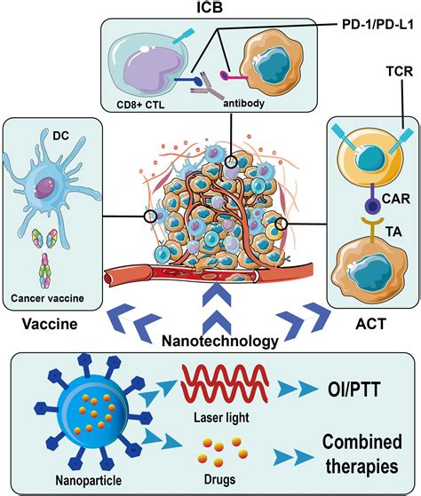frontiers recent progress on immunotherapy for breast cancer tumor microenvironment