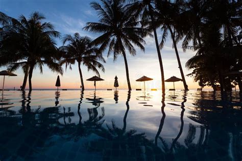 Palm Trees And Reflection In Swimming Pool Beach Hotel Sunset Stock