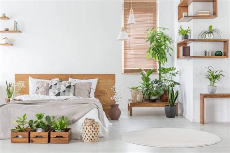 Escoja la planta que más te gusta, lo recomendable es que vaya acorde con el estilo de decoración de la sala. ¿Para qué sirve tener plantas en el hogar? — Mejor con Salud