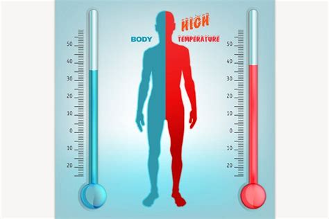 Vector Body Temperature Human Body Temperature Body Chart Body