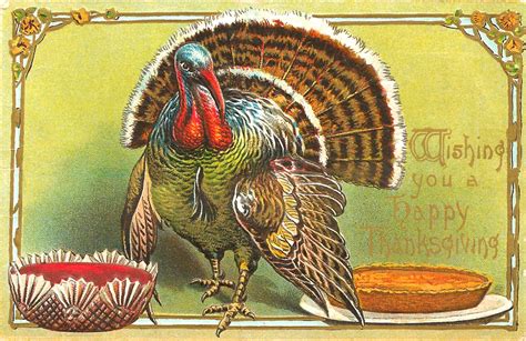 Antique Images Free Thanksgiving Day Graphic Vintage Postcard With