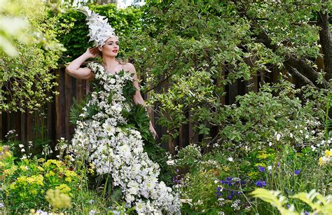Chelsea Flower Show 2016 Everything You Need To Know