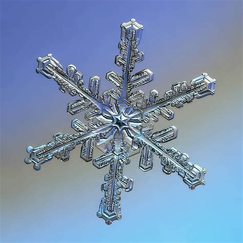 Alexeykljatov „real Snowflake Macro Photo Interesting Stellar Snow
