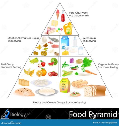 Simple Food Pyramid Label