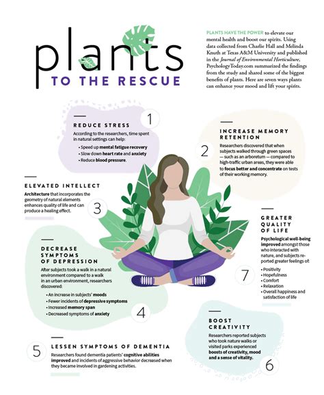 Plants To The Rescue Horticulture Therapy Plant Benefits Benefits