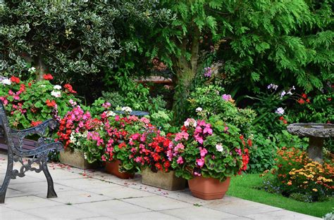 9 Easy Ways To Transform Your Patio The English Garden