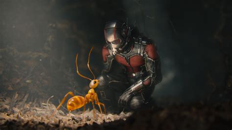 ant man fantasy art movies ants wallpapers hd desktop and mobile backgrounds