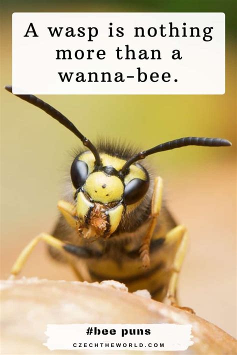 153 Best Bee Puns That Are Un Bee Lievably Bee Autiful