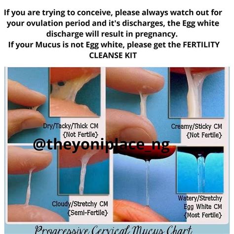 Arab Sarabo Misfortune Booth Cervical Mucus Through The Cycle Element