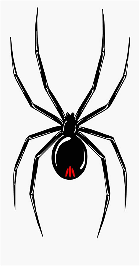 Black Widow Symbol Png Black Widow Spider Stencil Transparent