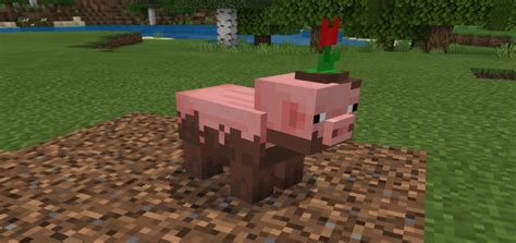 Pocket edition 1.6.0 mcpe on youtube. Muddy Pig Resource Pack | Minecraft PE Texture Packs