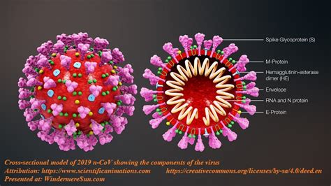 We did not find results for: Senate Unanimously Passed $2 Trillion CARES (Coronavirus ...