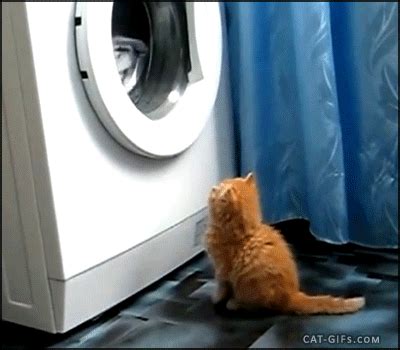 Washing Machines Gifs Wifflegif