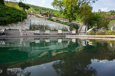 Agriturismo Colli Euganei Vicino Arqu Petrarca Pernottamento Colazione