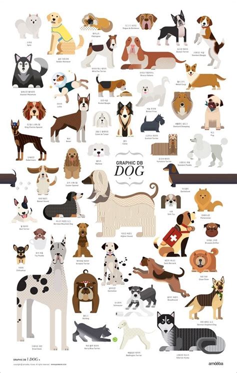 Dog Poster Dog Poster Dog Breeds Dog Illustration
