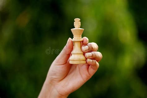 Chess King Stock Photo Image Of Conquering King Thinking 21193528