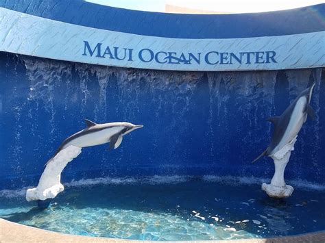Travel Maui Ocean Center