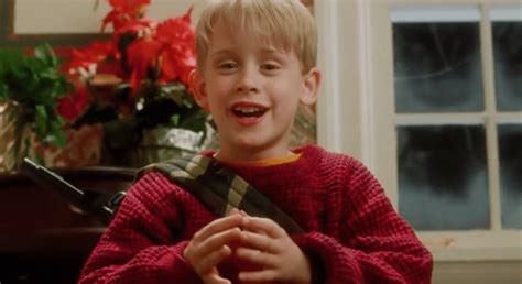 Misbehaved Facts About Home Alone Factinate