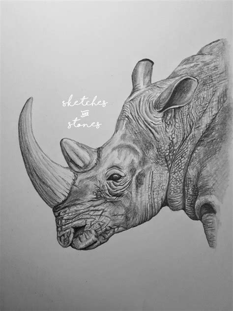 Numonday Shop From Uk Makers And Artists Realistic Animal Drawings