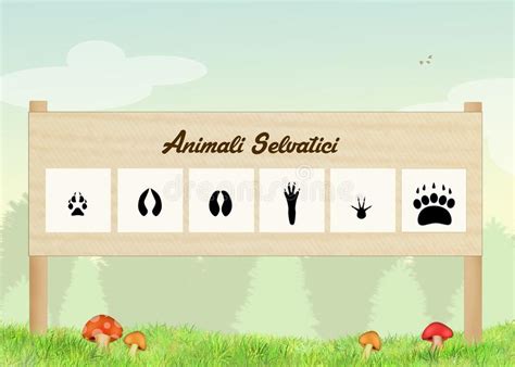 Footprints Of Wild Animals In The Forest Stock Illustration