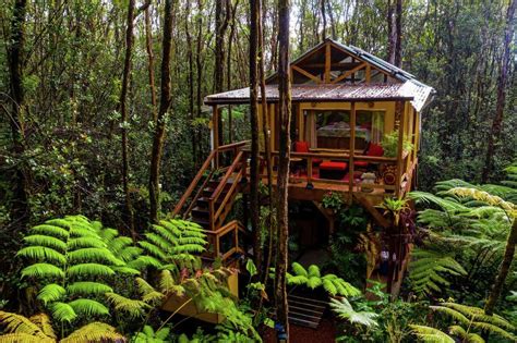 Hawaiis Dreamy Jungle Tree Houses Are Part Of Growing Trend