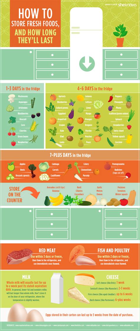 Proper Food Storage Chart Printable