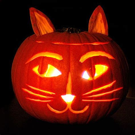 20 Pumpkin Carving Ideas Cat