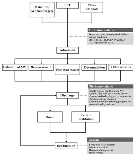 Flow Chart Of Admissions Discharges And Readmissions At The Prolonged Download Scientific