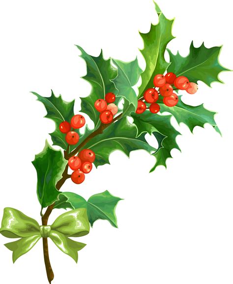 Christmas Holly Leaf Creative Christmas Png Download Free Transparent Christmas
