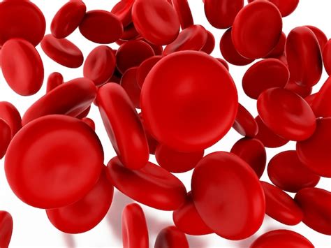 Premium Photo 3d Red Blood Cells