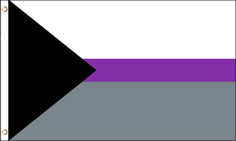 Demisexuality Flag X Ft Demisexual Pride Banner Sign Lgbt Black Gray