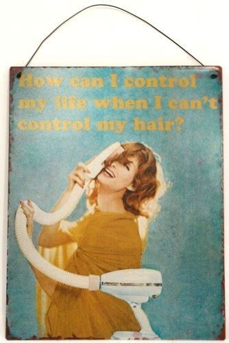 How Can I Control My Life When I Cant Control My Hair Retro Wall Sign
