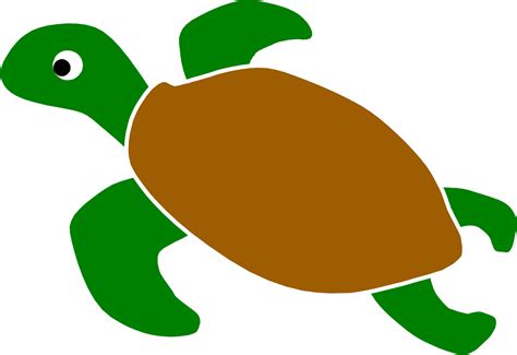Animated Sea Turtle Wallpaper Iphone Wallpapersafari
