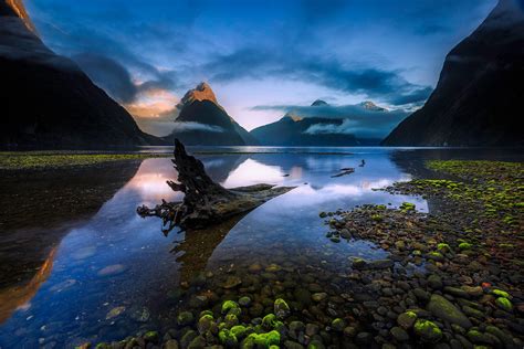 Nature Landscape Water Clouds New Zealand Lake Dead Trees Stones Moss