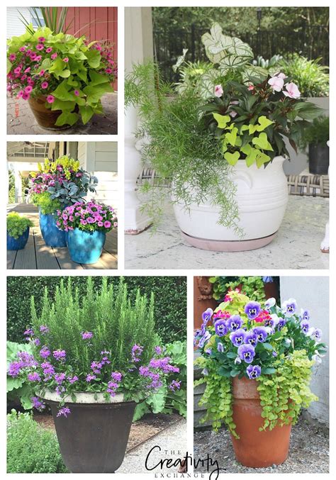 Creative Spring Garden Pots And Planters