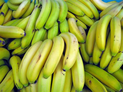 Bananas - Things Guyana
