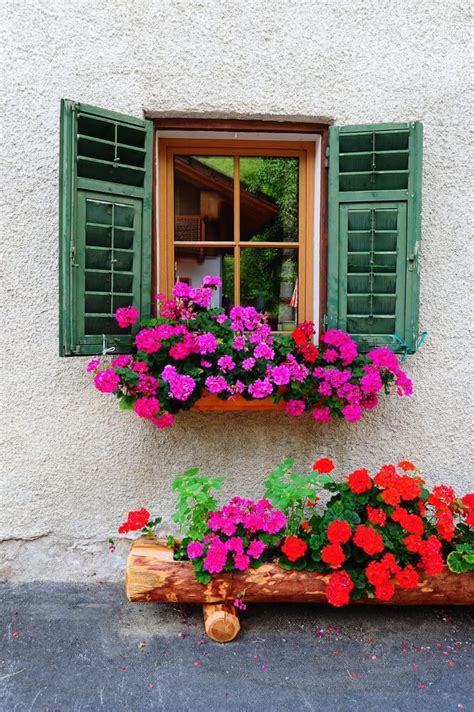 Window Flower Box Ideas Windowcurtain