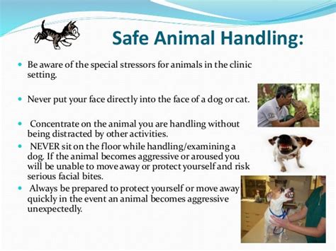Animal Handling And Restraint