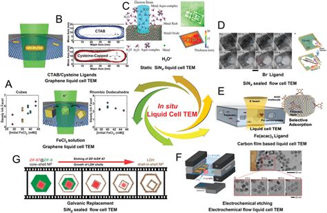 The Recent Advances Of In Situ Liquid Cell Tem Observation On The Oxide