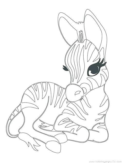 Baby Zoo Animal Coloring Pages At Free Printable