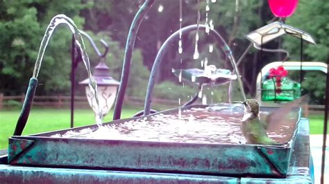 How does a copper bird bath fountain work? Hummingbird takes bath in copper fountain - YouTube